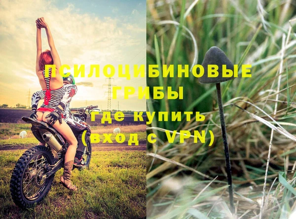 кристаллы Вяземский