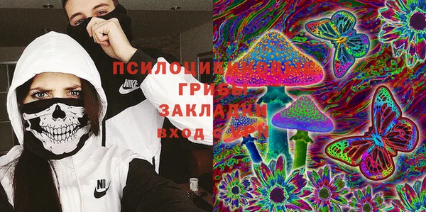 кристаллы Вяземский